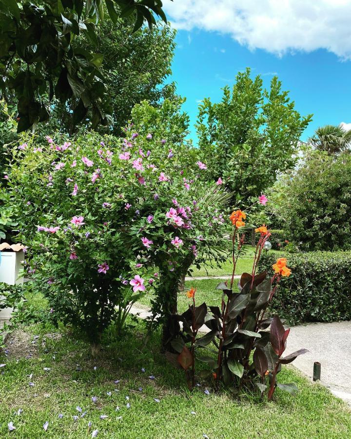 B&B Villa Dei Fiori SantʼEufemia Lamezia Kültér fotó