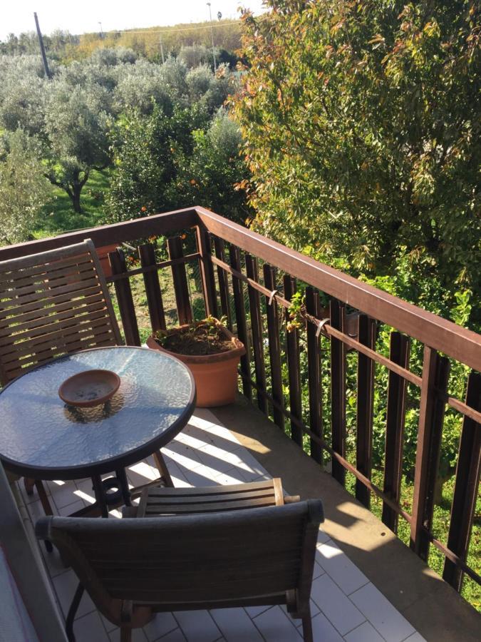 B&B Villa Dei Fiori SantʼEufemia Lamezia Kültér fotó